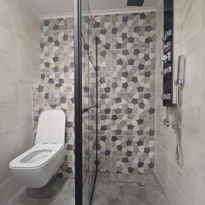 a bathroom with a toilet and a shower at Ponti Bay Apartments in Vasiliki