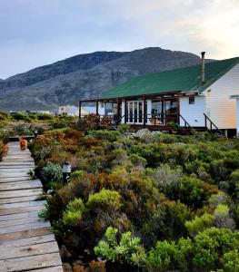 a building with a wooden walkway in a field of plants at Brandys beach house bettys bay in Bettyʼs Bay