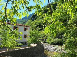 a house in the middle of a river with trees at CASOLARE TROMBACCO in Vergemoli