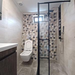 a bathroom with a toilet and a sink and a shower at Ponti Bay Apartments in Vasiliki