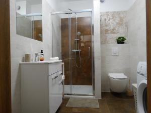 a bathroom with a shower and a toilet at ApartamentPromenadaEłk in Ełk