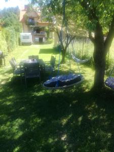 a swing hanging from a tree in a yard at Wypoczynek Pod Trzynastką in Krościenko