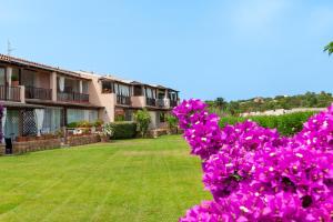 una fila de casas con flores rosas en un patio en [PORTO CERVO MARINA] Incantevole appartamento vista Yacht en Porto Cervo