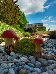 Vonkajšia záhrada v ubytovaní Chalet d' amour