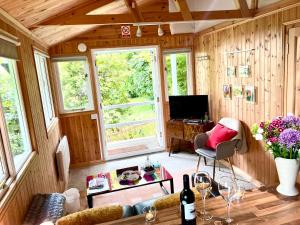 a living room with wooden paneled walls and a television at Treeside woodhouse in Hawkshead