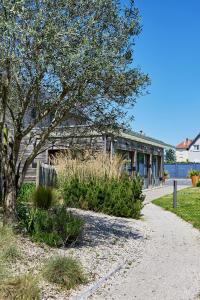 a tree in front of a building next to a sidewalk at La Cremaillere Hôtel-Restaurant in Courseulles-sur-Mer +24 photos