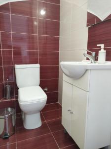 a bathroom with a toilet and a sink at Sunny Siviri in Siviri