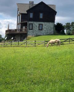 a horse grazing in a field in front of a house at Country vacation home 