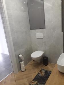 Koupelna v ubytování Apartament Wiżajny
