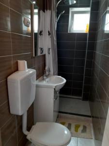 Koupelna v ubytování Apartment Karlo