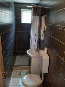 Koupelna v ubytování Apartment Karlo