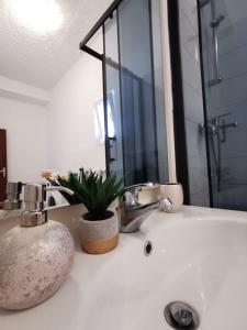 a bathroom sink with a potted plant on it at Priska Apartment in Kaštela +46 photos