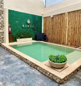 a swimming pool with a plant in front of a building at Kuxtal Hotel Boutique in Mérida