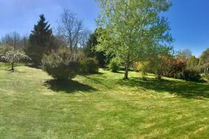 Vonkajšia záhrada v ubytovaní Magnifique villa