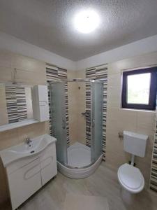 a bathroom with a shower and a toilet and a sink at Vacation Home Keskic in Velika Gata