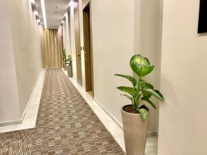 a plant in a vase on a hallway at ELMAR HOTEL in Vlorë