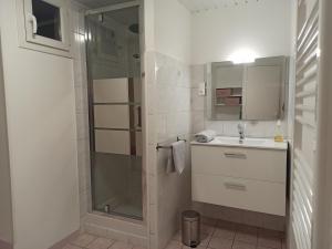 a bathroom with a shower and a sink at Le Saint-Jacques - Hypercentre in Châtellerault