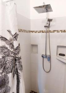 a shower in a bathroom with a shower curtain at Charmant pied-à-terre coeur de ville in Pointe-à-Pitre