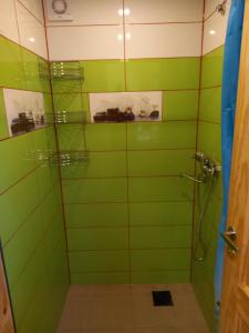 ducha de azulejos verdes con puerta de cristal en Strautmali, en Mazirbe