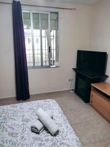 TV a/nebo společenská místnost v ubytování Habitación CID