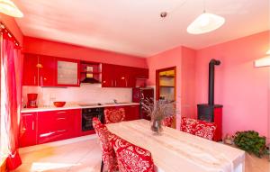 Kuchyň nebo kuchyňský kout v ubytování Holiday Home Prizba Bb