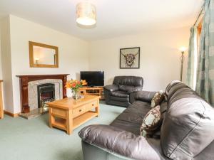 a living room with a leather couch and a fireplace at Birchbank in Skye of Curr