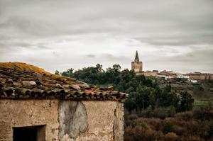 Príroda v okolí of the country house