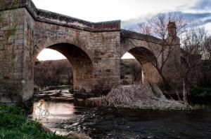 Príroda v okolí of the country house