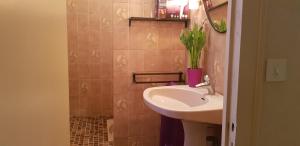 a bathroom with a sink and a vase with a plant at La maison de Louise in Fontenay-le-Comte +44 photos