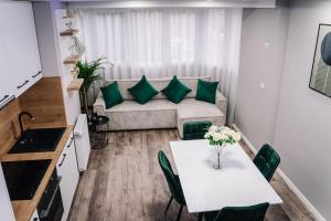 Χώρος καθιστικού στο Scandinavian Lux Apartment Oradea