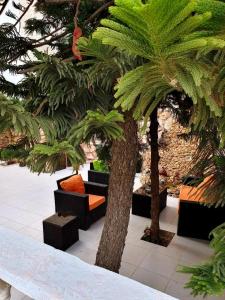 eine Palme und eine Couch zwischen zwei Bäumen in der Unterkunft Tell Madaba in Madaba