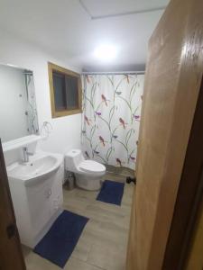 La salle de bains est pourvue d'un lavabo, de toilettes et d'une douche. dans l'établissement Cabaña Relmu Osorno con tinaja, à Pichil