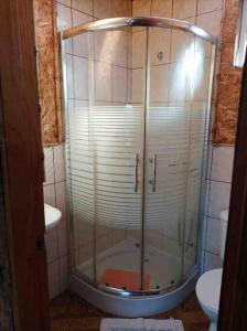 a shower stall in a bathroom with a toilet at Cabaña pumillahue rural in Ancud