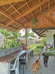 Domácí mazlíčci ubytovaní s hosty v ubytování Yas villas homestay + 4 fotografie