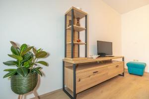 Televízia a/alebo spoločenská miestnosť v ubytovaní Apartments Jarmila