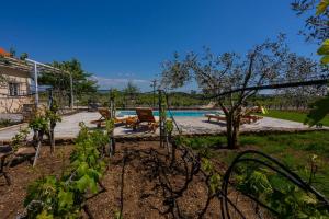 Πισίνα στο ή κοντά στο Villa Olive tree