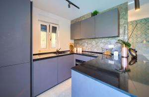 Kuchyň nebo kuchyňský kout v ubytování Apartment Siora