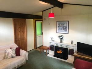 a living room with a couch and a fireplace at Nuthatch Lodge is set in 24 acres of woodparkland near the village of Cenarth in Newcastle Emlyn