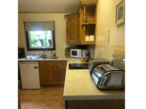 a kitchen with wooden cabinets and a counter top at Nuthatch Lodge is set in 24 acres of woodparkland near the village of Cenarth in Newcastle Emlyn