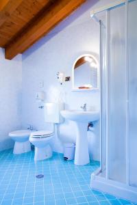 a bathroom with a sink and a toilet and a shower at Agriturismo Da Merlo in Trivignano