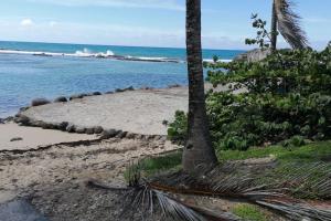 a beach with a palm tree and the ocean at Appartement Blue Lagon in Saint-François