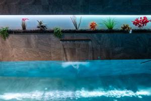The swimming pool at or close to Apartaments y Habitacions Entre Volcans