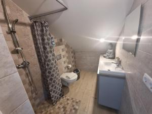 Gallery image of Egles house apartment with jacuzzi in Ventė