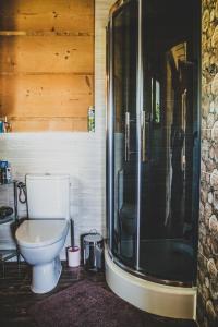 ein Badezimmer mit Toilette und Dusche in der Unterkunft Domki i Apartamenty Na Wyskówkach Jacuzzi & Sauna in Zakopane + 109 Fotos