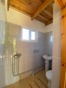 a bathroom with a toilet and a sink at Eldos-Ata Eco Hotel in Tossor +74 photos