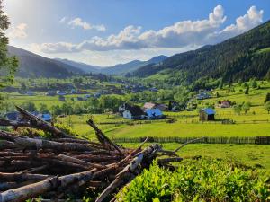 Foto dalla galleria di Casa Aureliana a Ciocăneşti