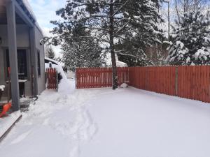 Obiekt sosnowelowe zimą