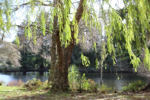 Ảnh trong thư viện ảnh của McLaren Lake View ở Tauranga