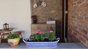 Fotografie z fotogalerie ubytování Apartmán Lanžhot v Lanžhotě