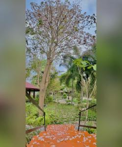 widok na park z drzewem w obiekcie Keith Ratchaburi w mieście Ratchaburi